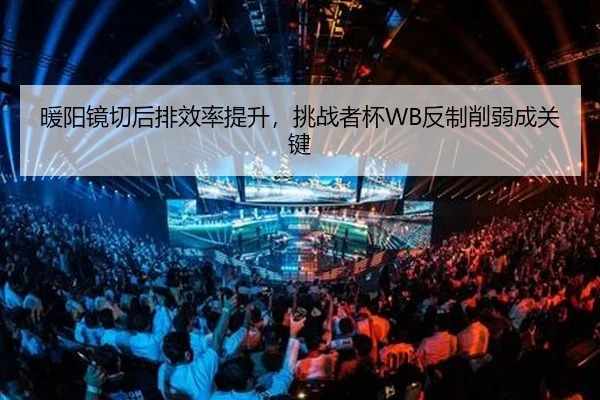 暖阳镜切后排效率提升，挑战者杯WB反制削弱成关键